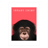 Infant Chimp (Print Only) thumbnail