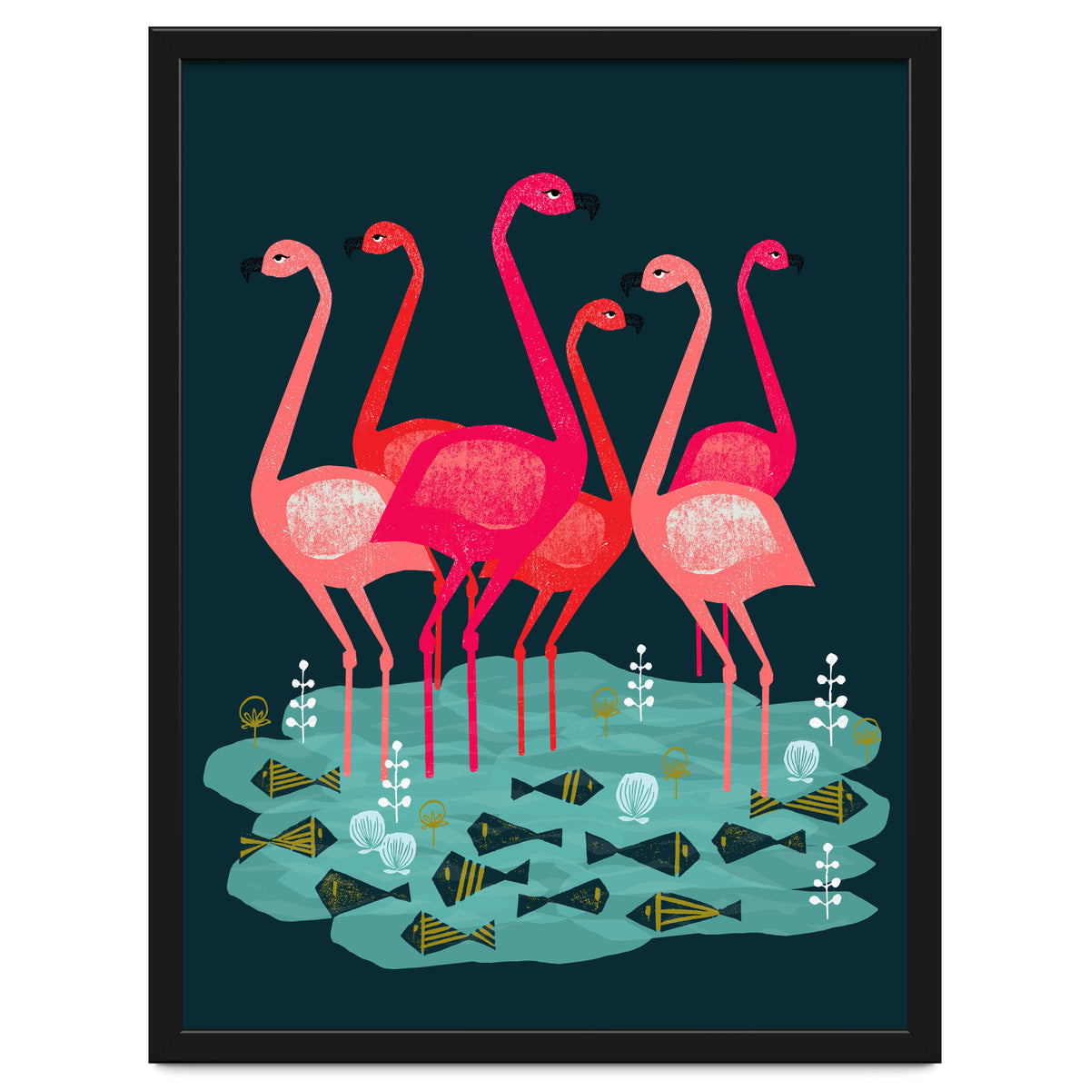 Flamingo
