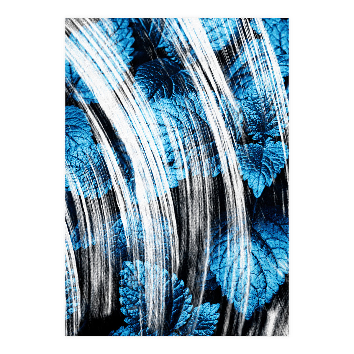 Raining Forest No4 (Print Only)