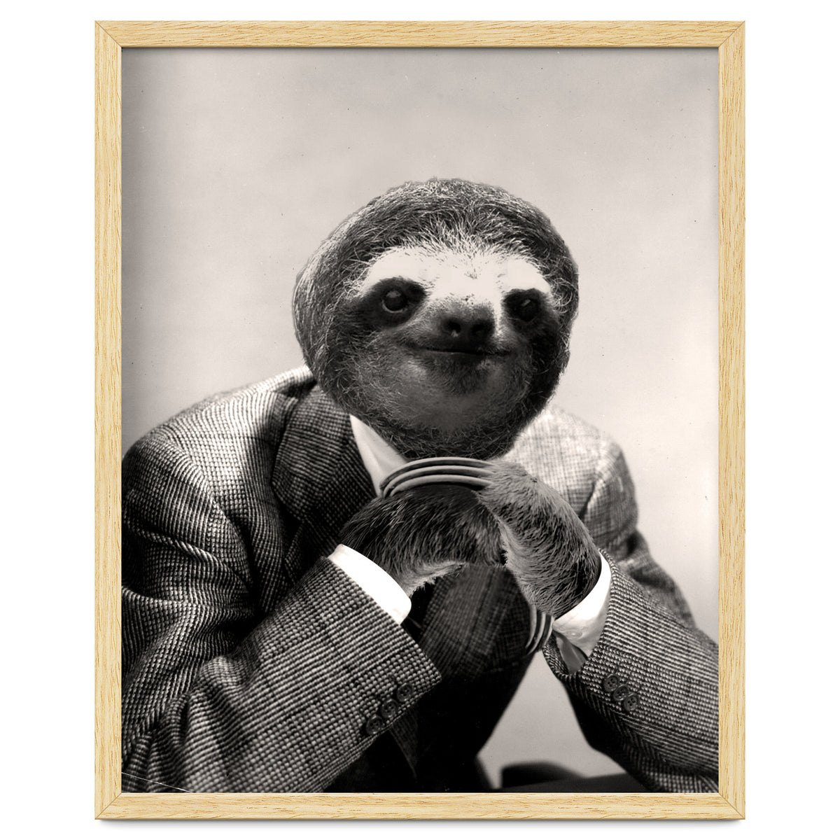 Gentleman Sloth 3
