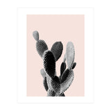 50 (Print Only) thumbnail