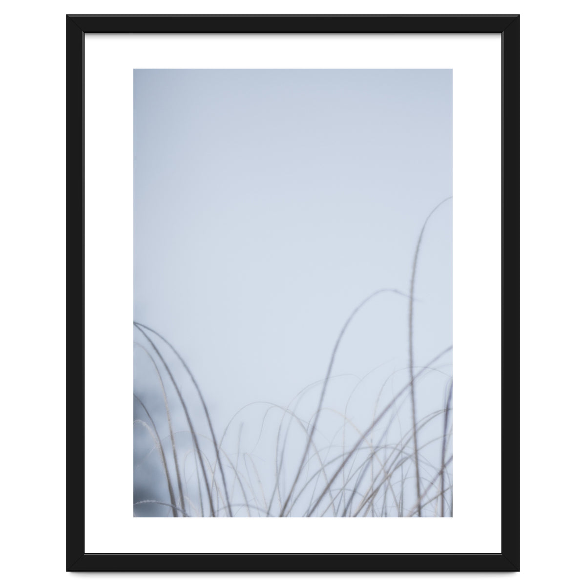 Forgotten Memories of Summer #20