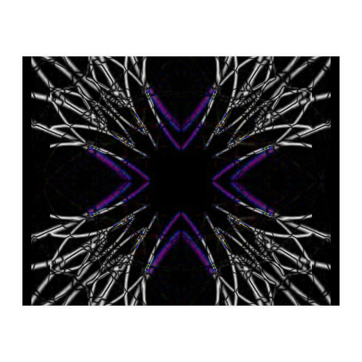 fiori.6.2png (Print Only)