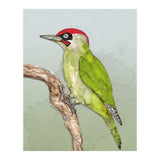 Green woodpecker (Print Only) thumbnail