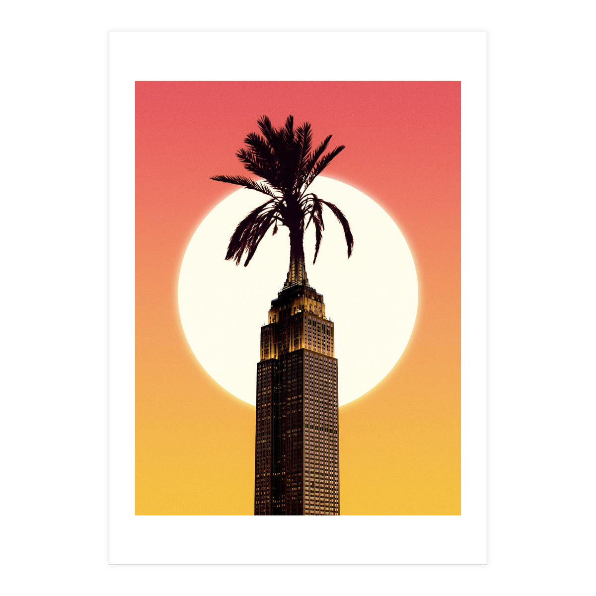 Palm City (Print Only)