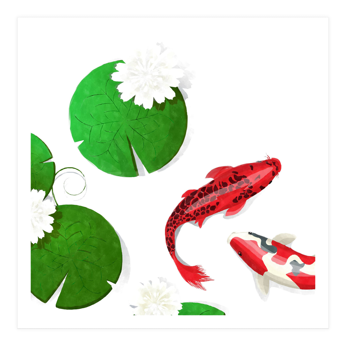 Watercolor Koi Fish Background (Print Only)