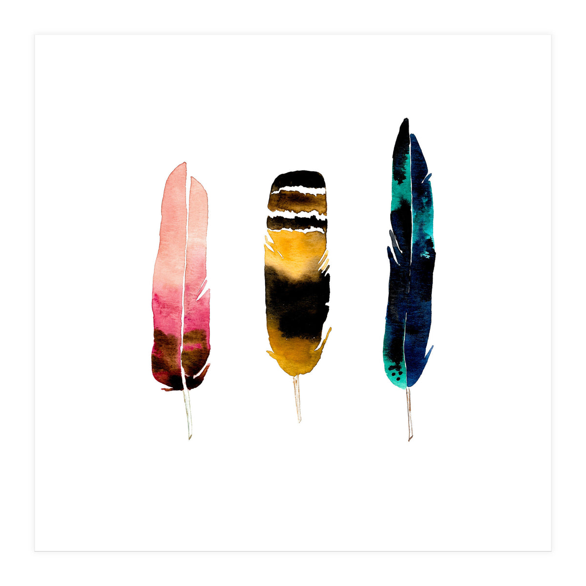 Feather Warmth  (Print Only)