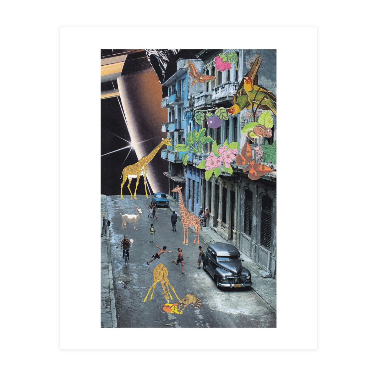 Havana (Print Only)