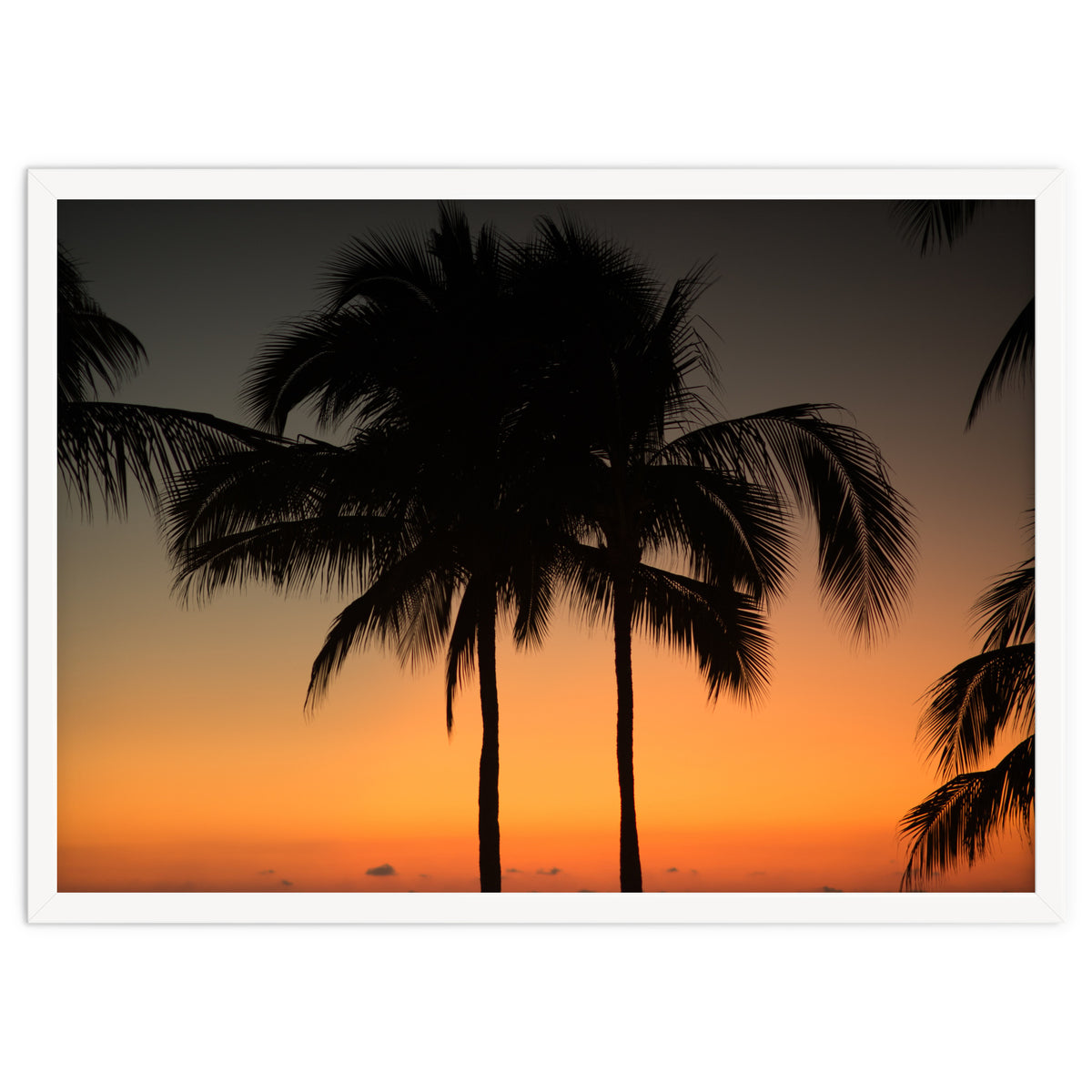 Mexico, November nights