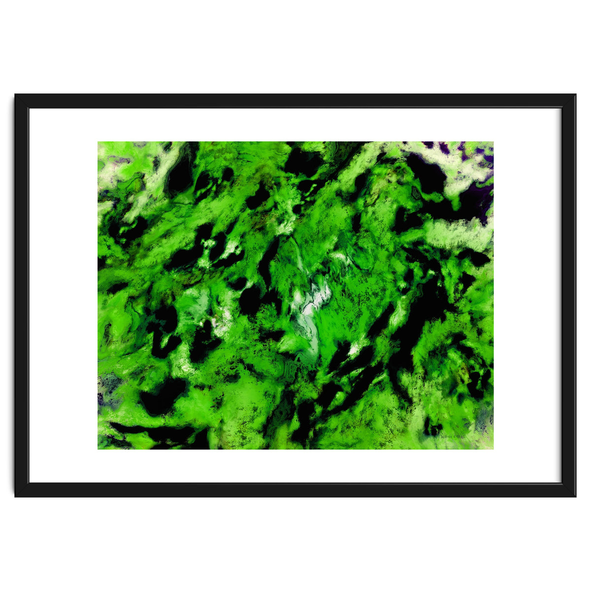 More Distinguishing Marks