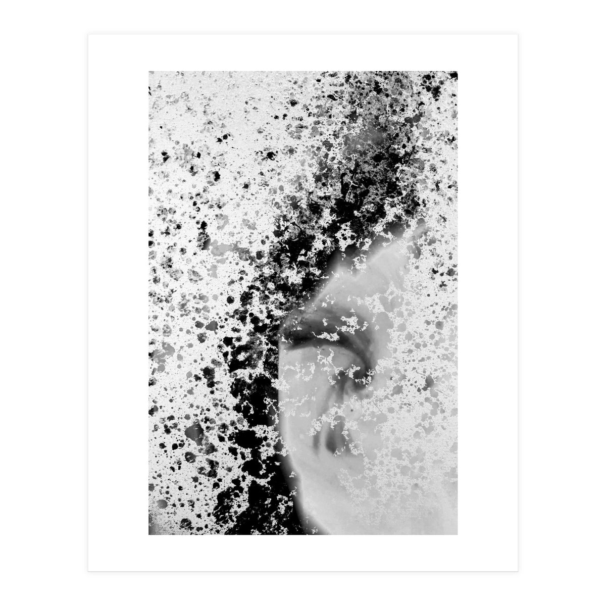 Prisma Black  (Print Only)