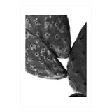 Black Cactus (Print Only) thumbnail