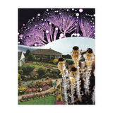 Fungi (Print Only) thumbnail