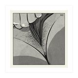 Flavors • 1 2 6  (Print Only) thumbnail