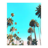 OC (Print Only) thumbnail