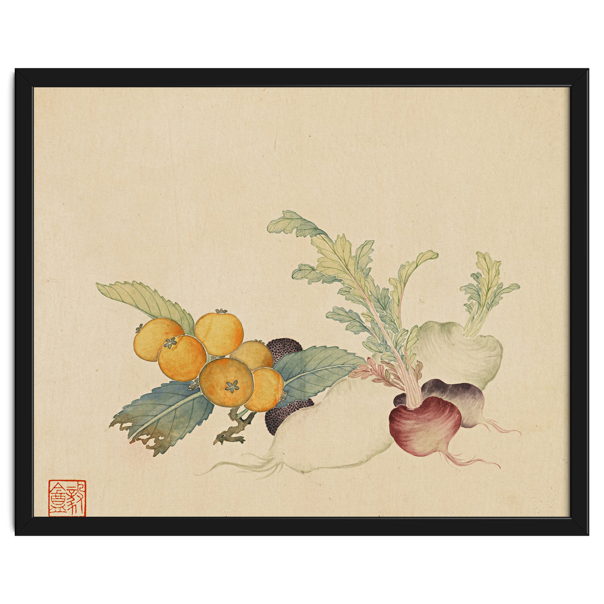 Wang Chengpi~flowers And Vegetables, Vegetables, Fruits, Loquat, White Radish, Carrot, Radish
