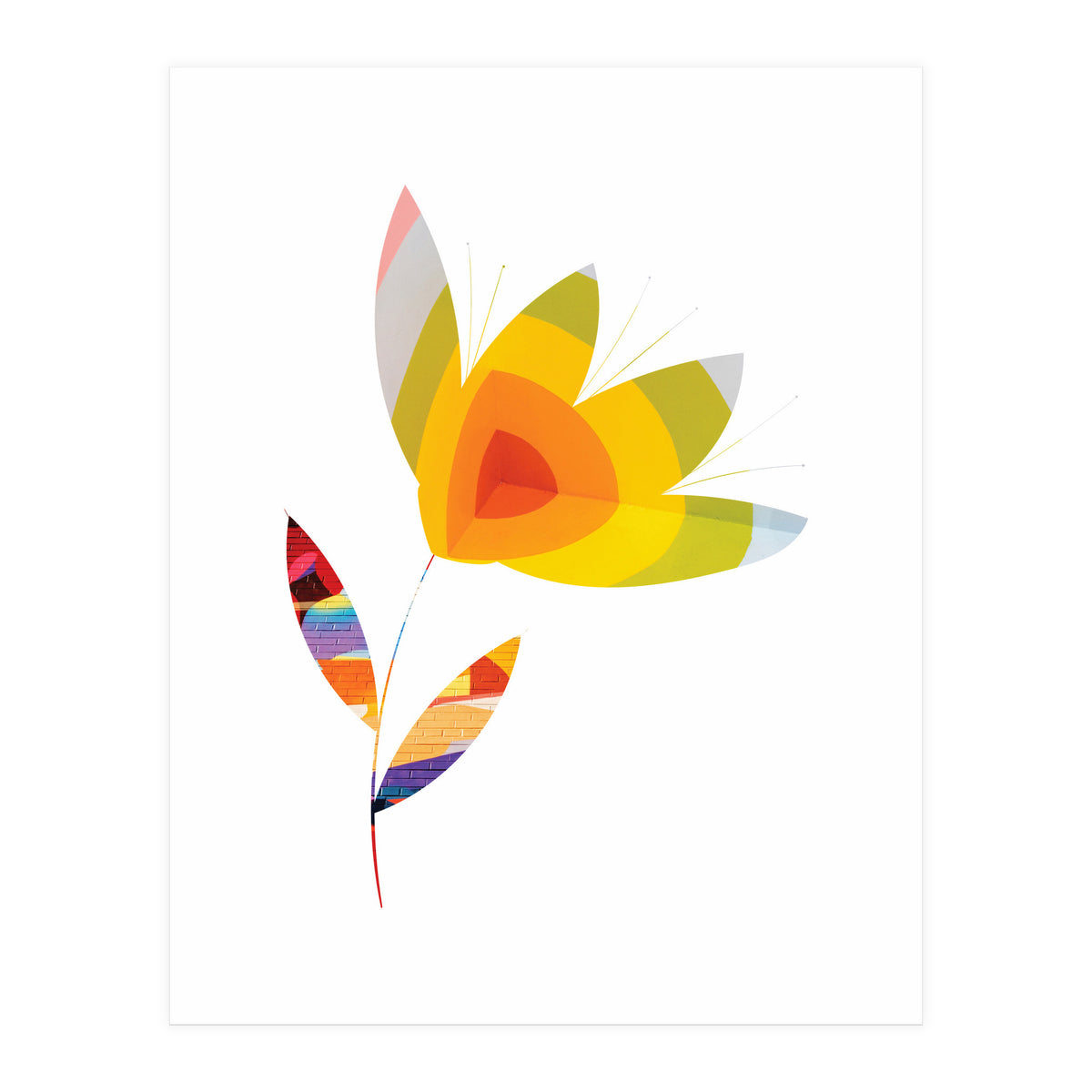 Graffiti Flower II (Print Only)