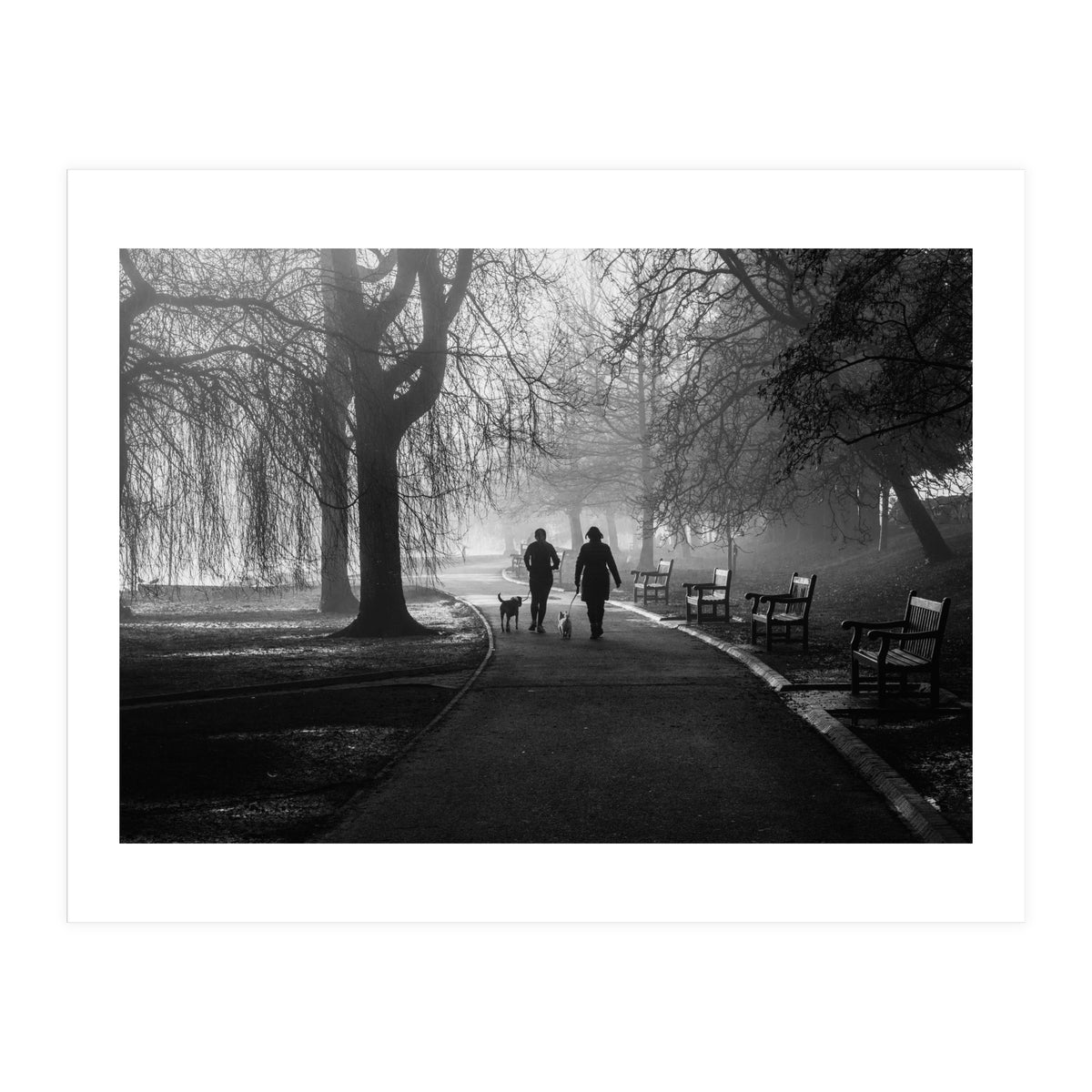 Misty Morning (Print Only)