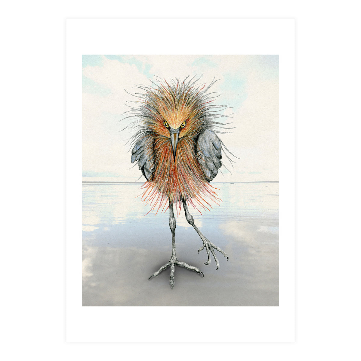 Reddish Egret (Print Only)