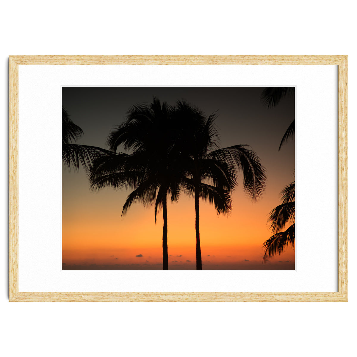 Mexico, November nights