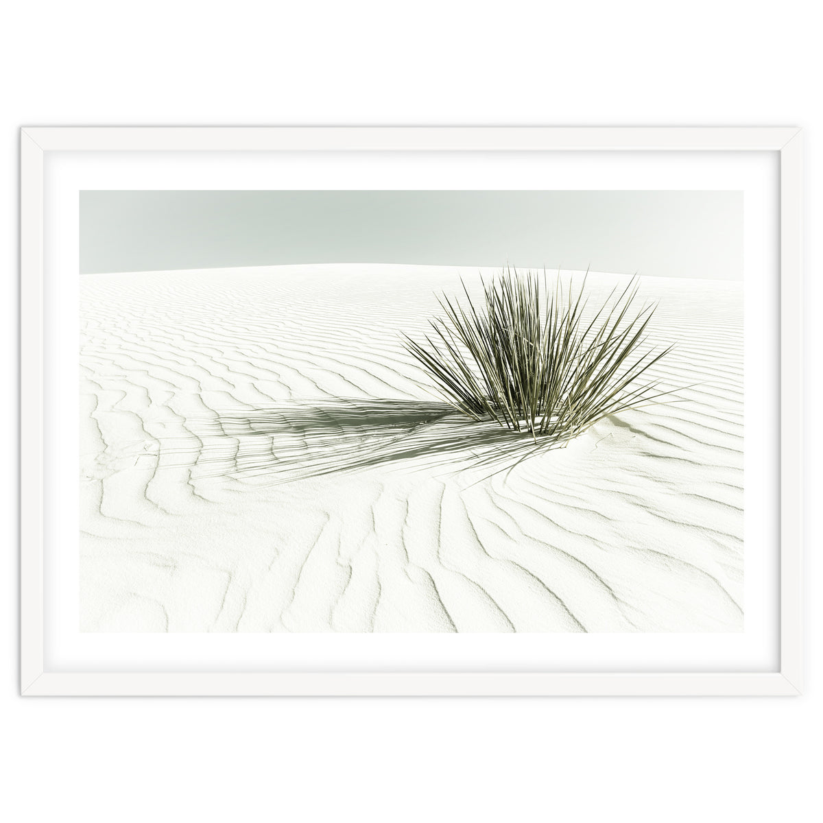 WHITE SANDS Idyllic scenery | Vintage