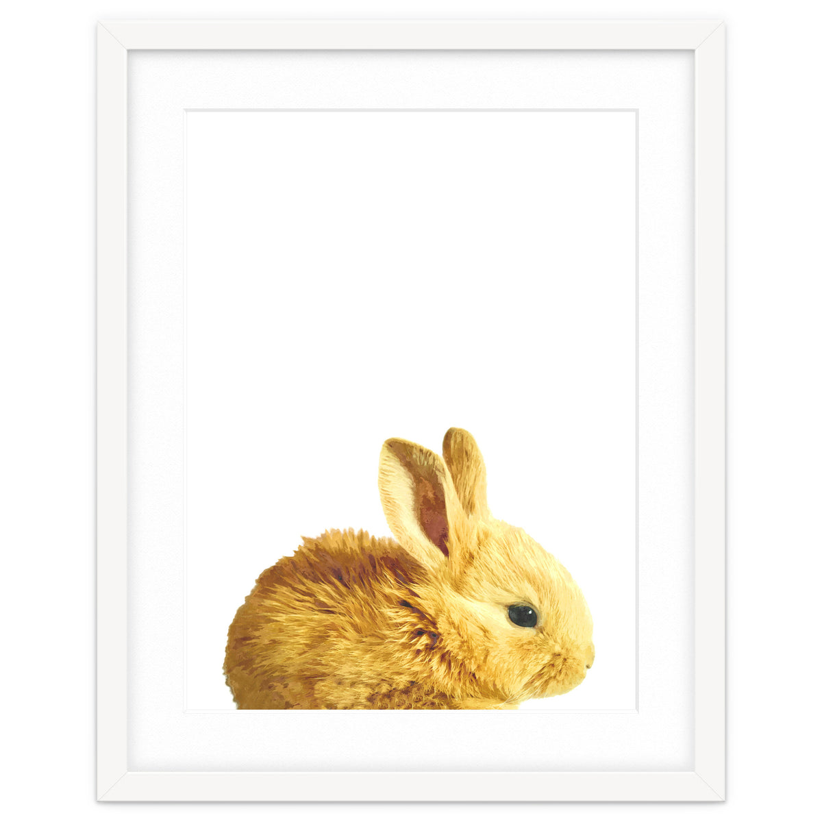 Bunny Portrait