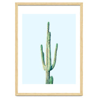 Loner Cactus