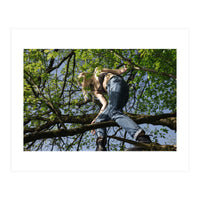 Tree Climber (Print Only)