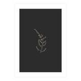 Delicate Golden Fynbos Botanicals on Black (Print Only) thumbnail