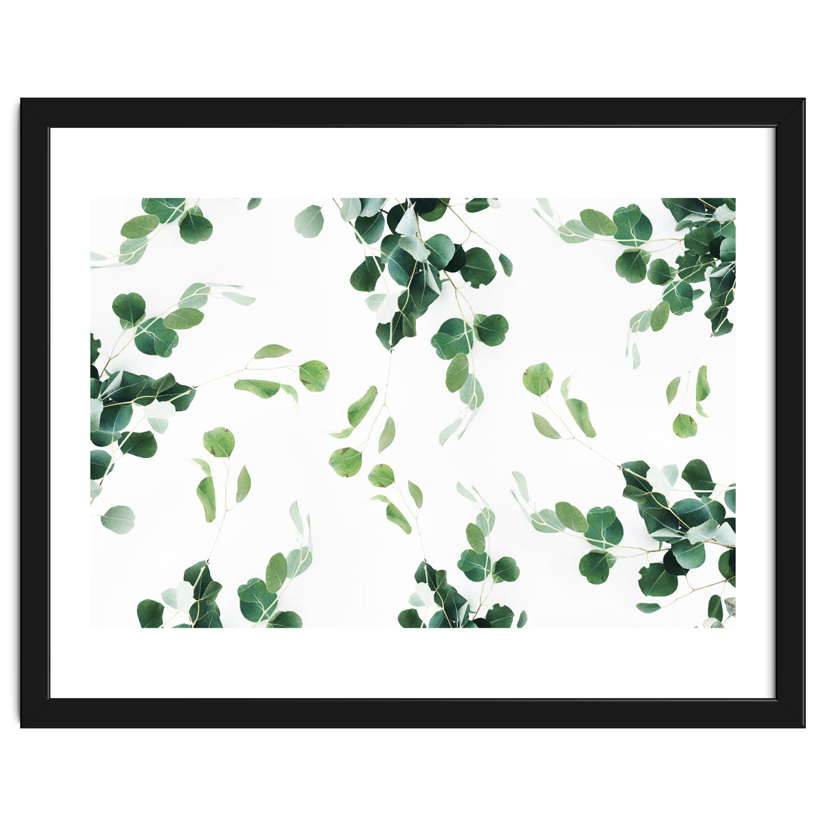 Botanical Celebration