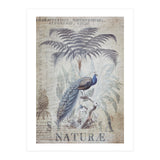 Peacock Jungle (Print Only) thumbnail