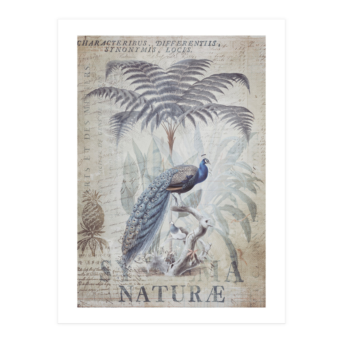 Peacock Jungle (Print Only)