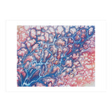 Coral Sea (Print Only) thumbnail