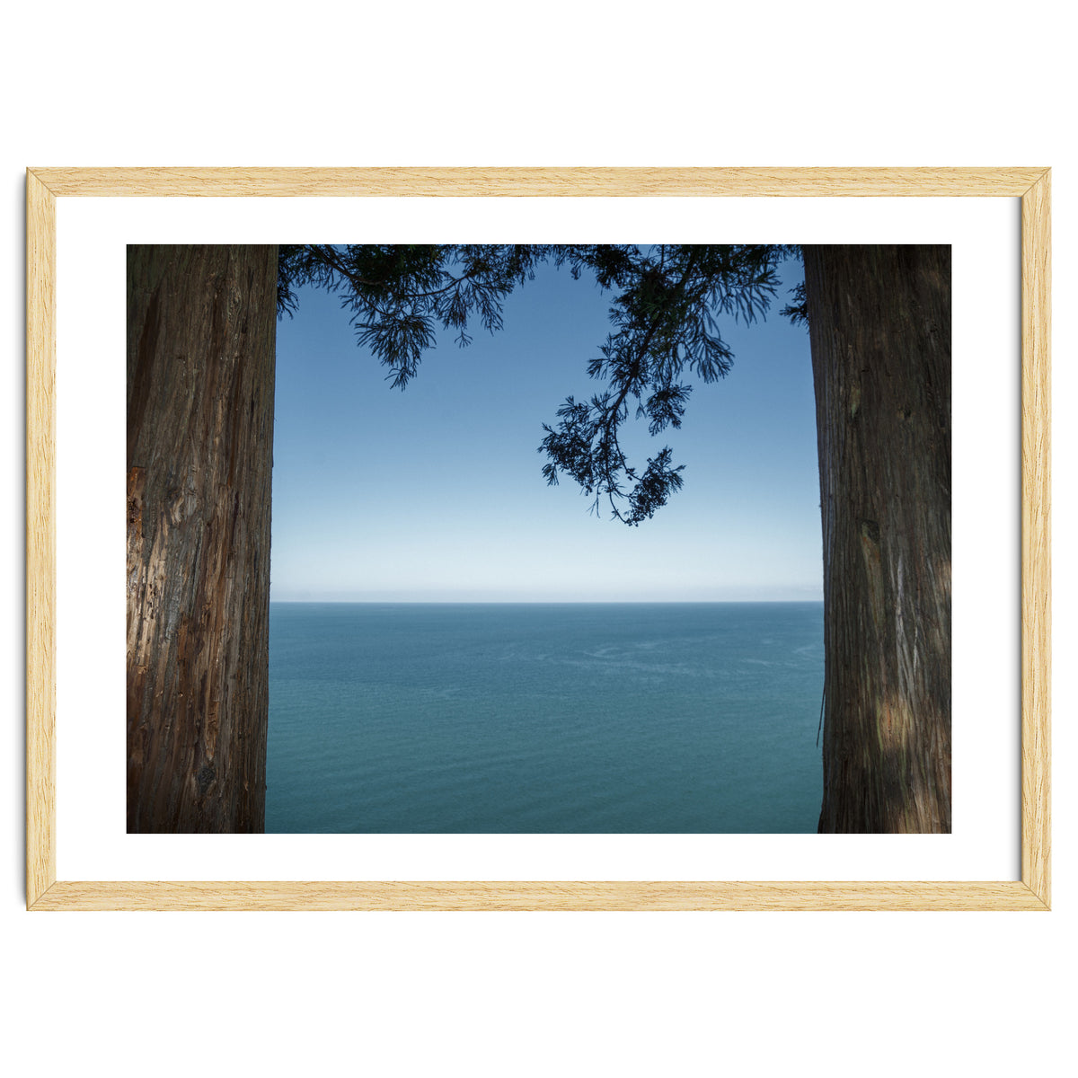 Picture Postcard Perfect