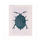 Beetle 2 (Print Only) thumbnail