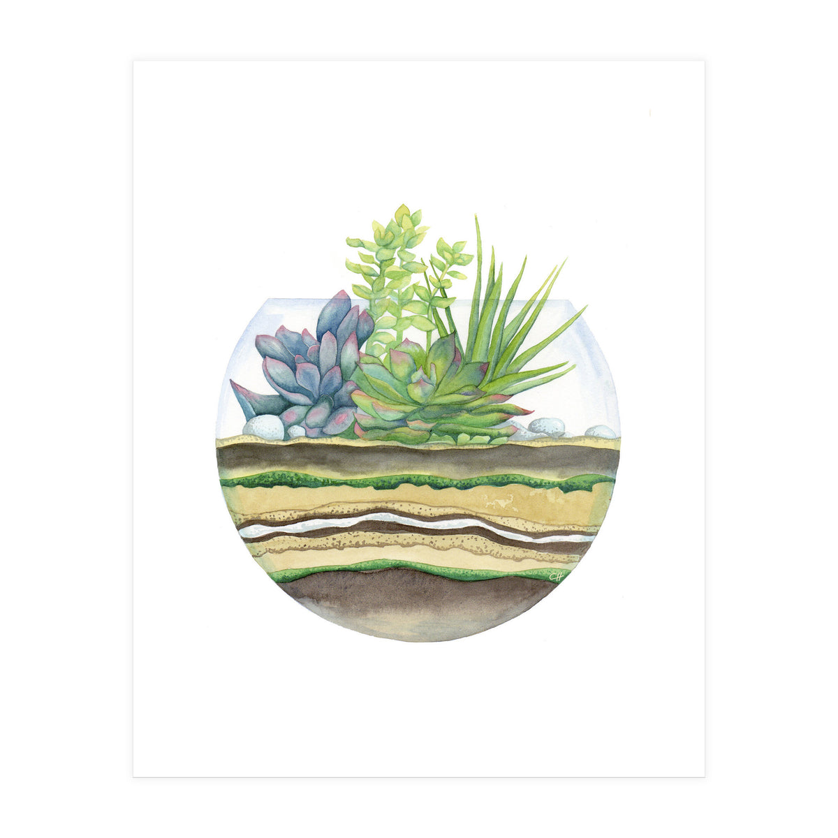A Little Green Terrarium (Print Only)