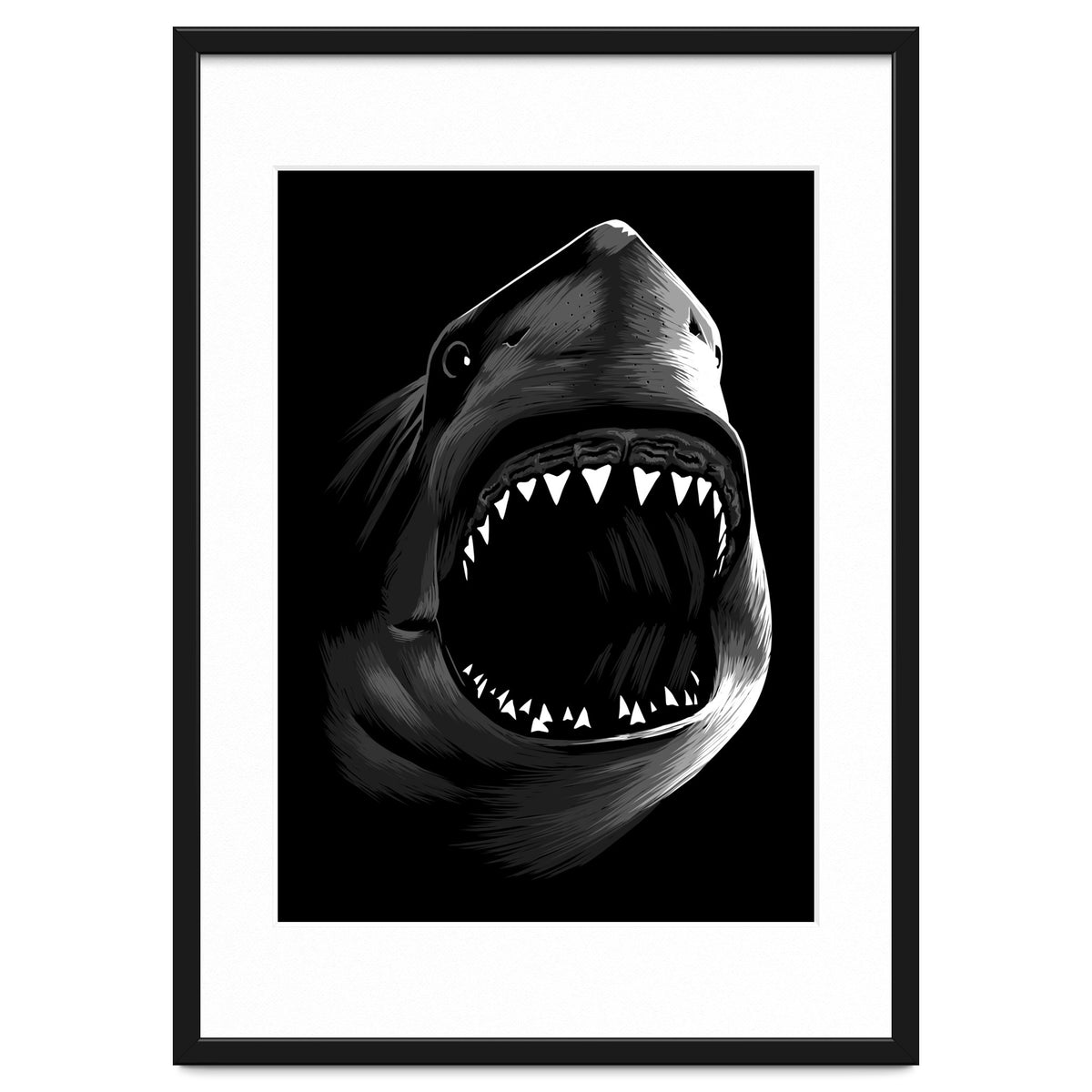 Megalodon