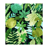 Rainforest Ii (Print Only) thumbnail