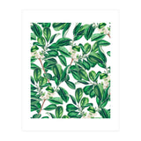 Botanica (Print Only) thumbnail