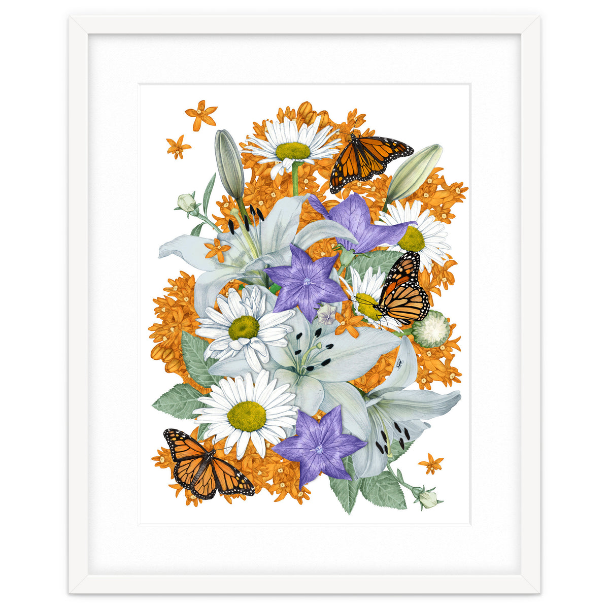 Lillies and Monarchs