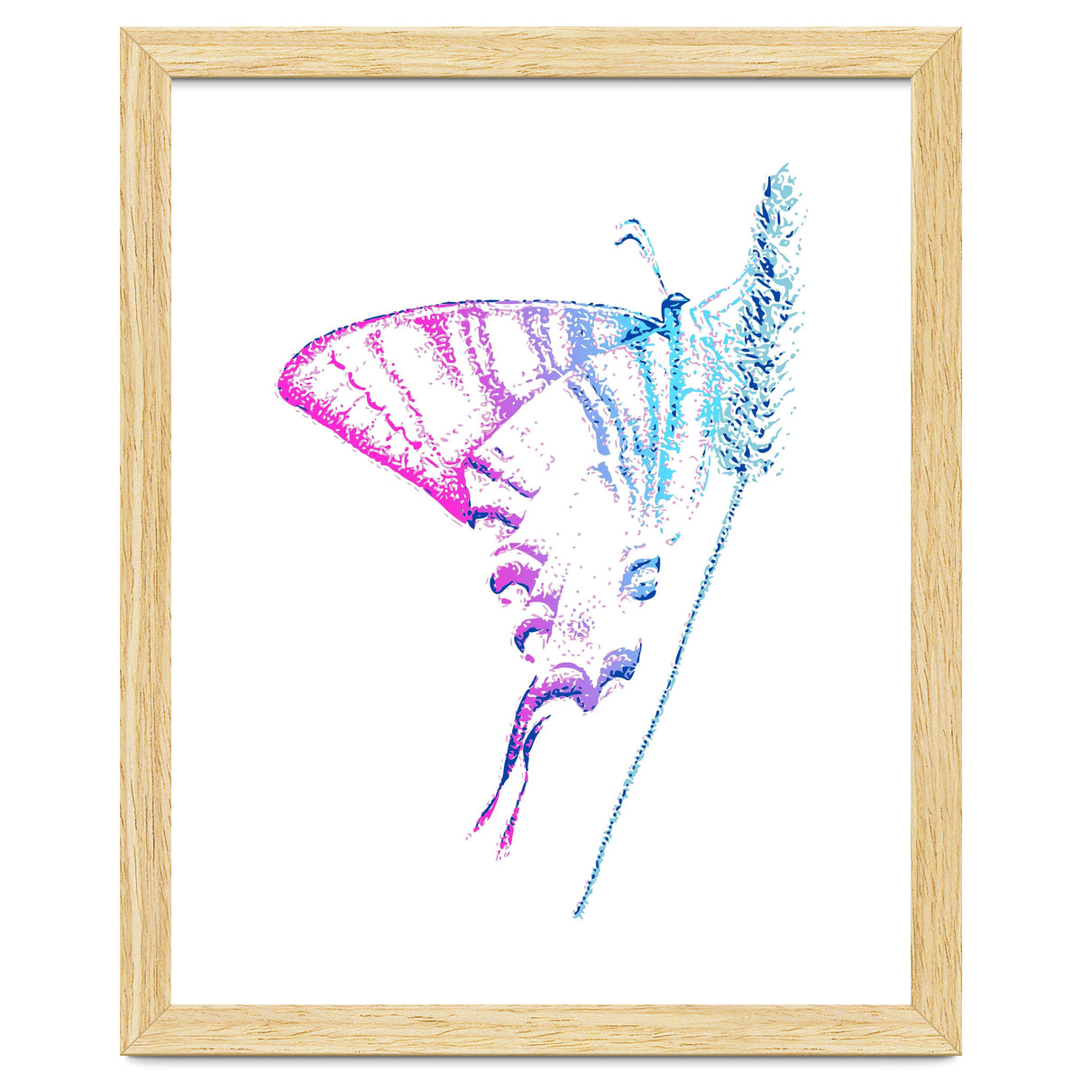 Swallowtail On Grass in Pinquoise