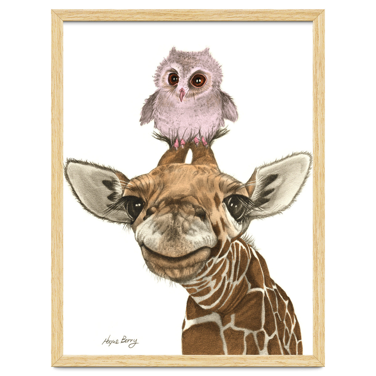 Giraffe and Owl