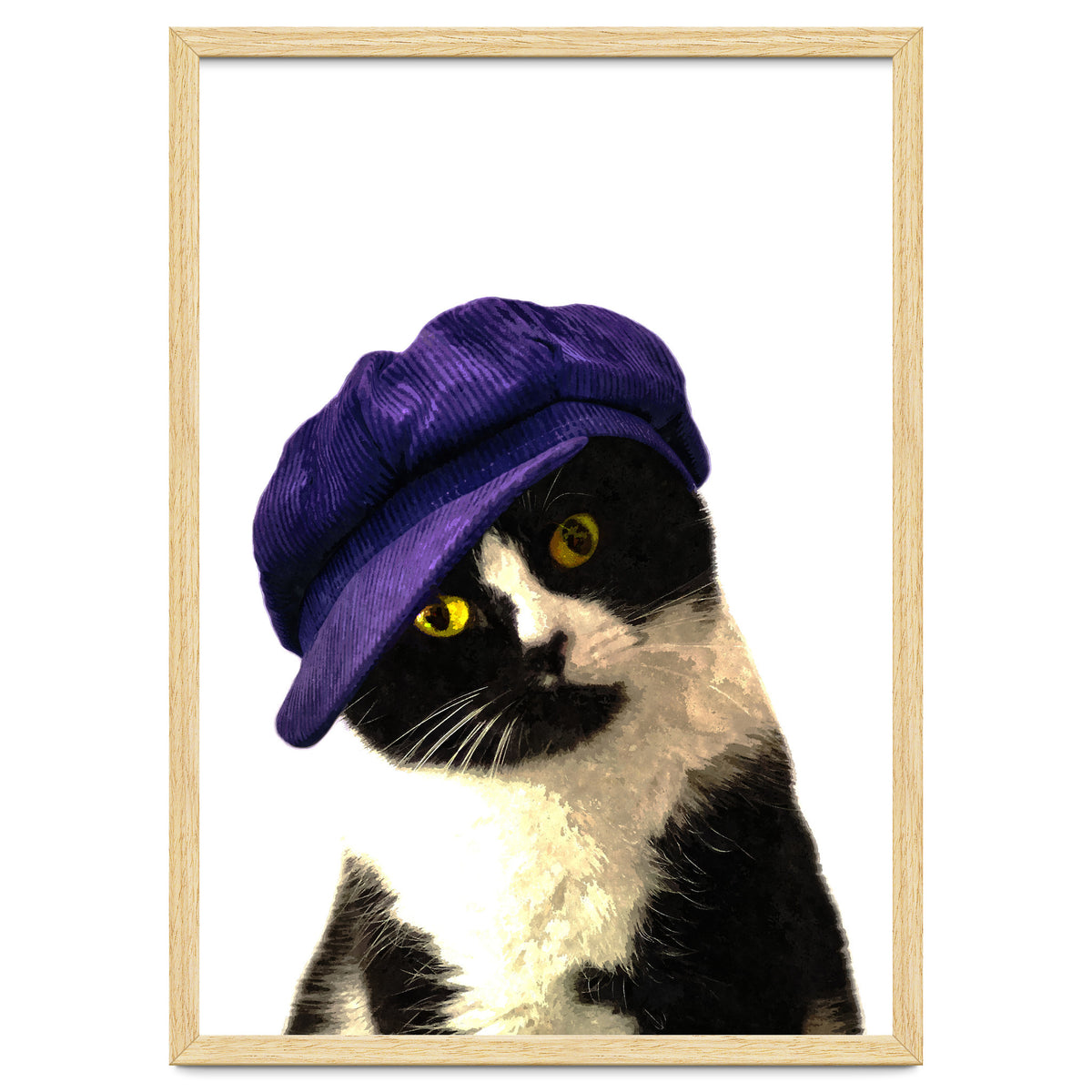 Cat Blue Hat