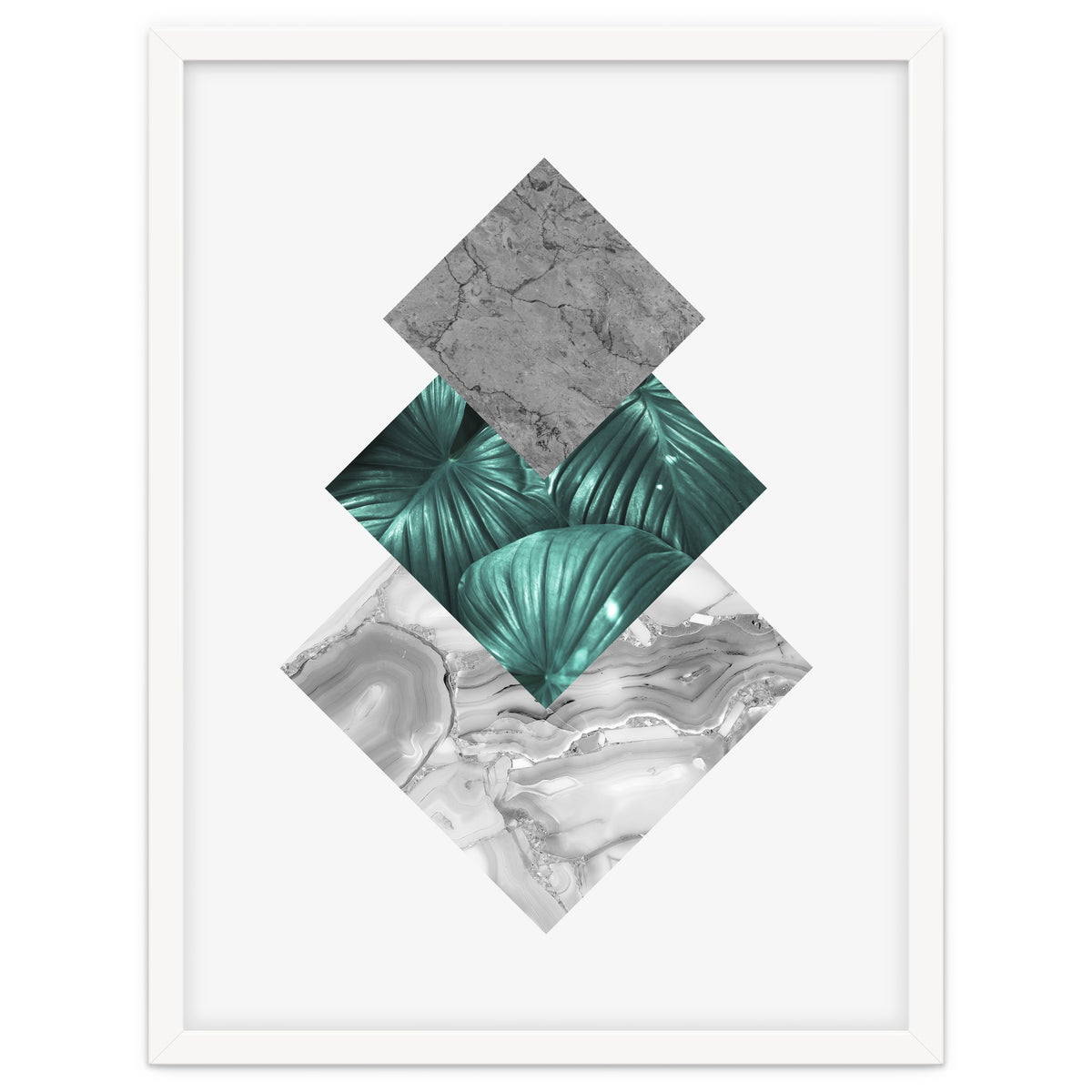 Botanical and geometric V