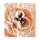 Love (Print Only) thumbnail