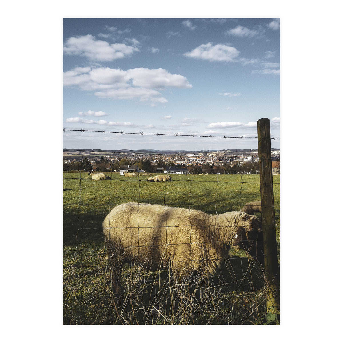 Bucolism 5 (Print Only)