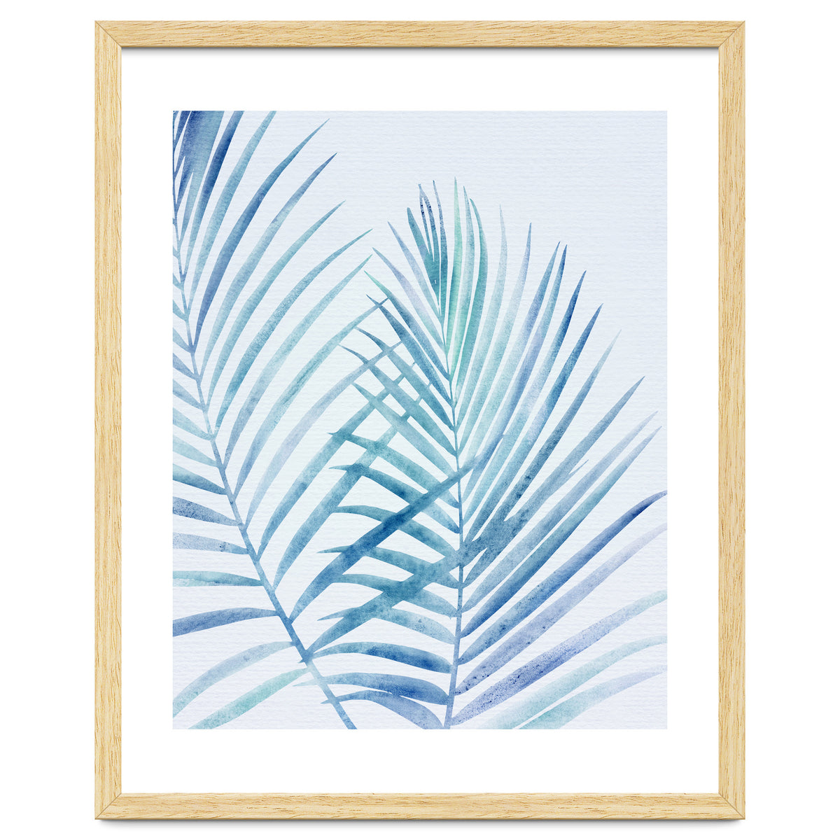 Coastal Palm Fronds