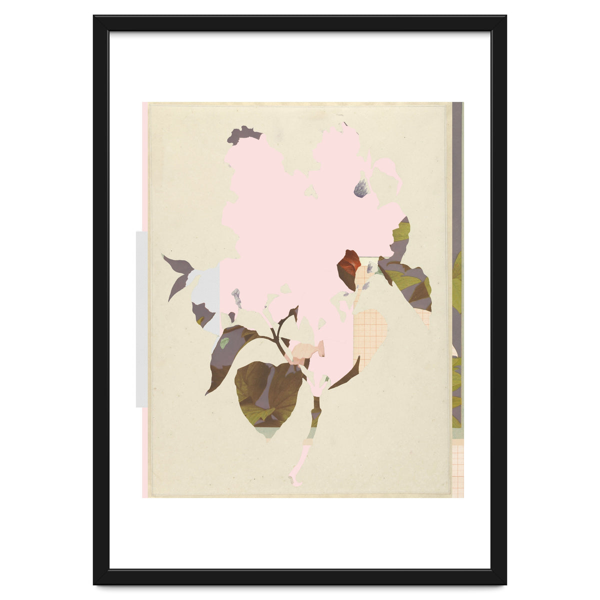 The First Plant · G