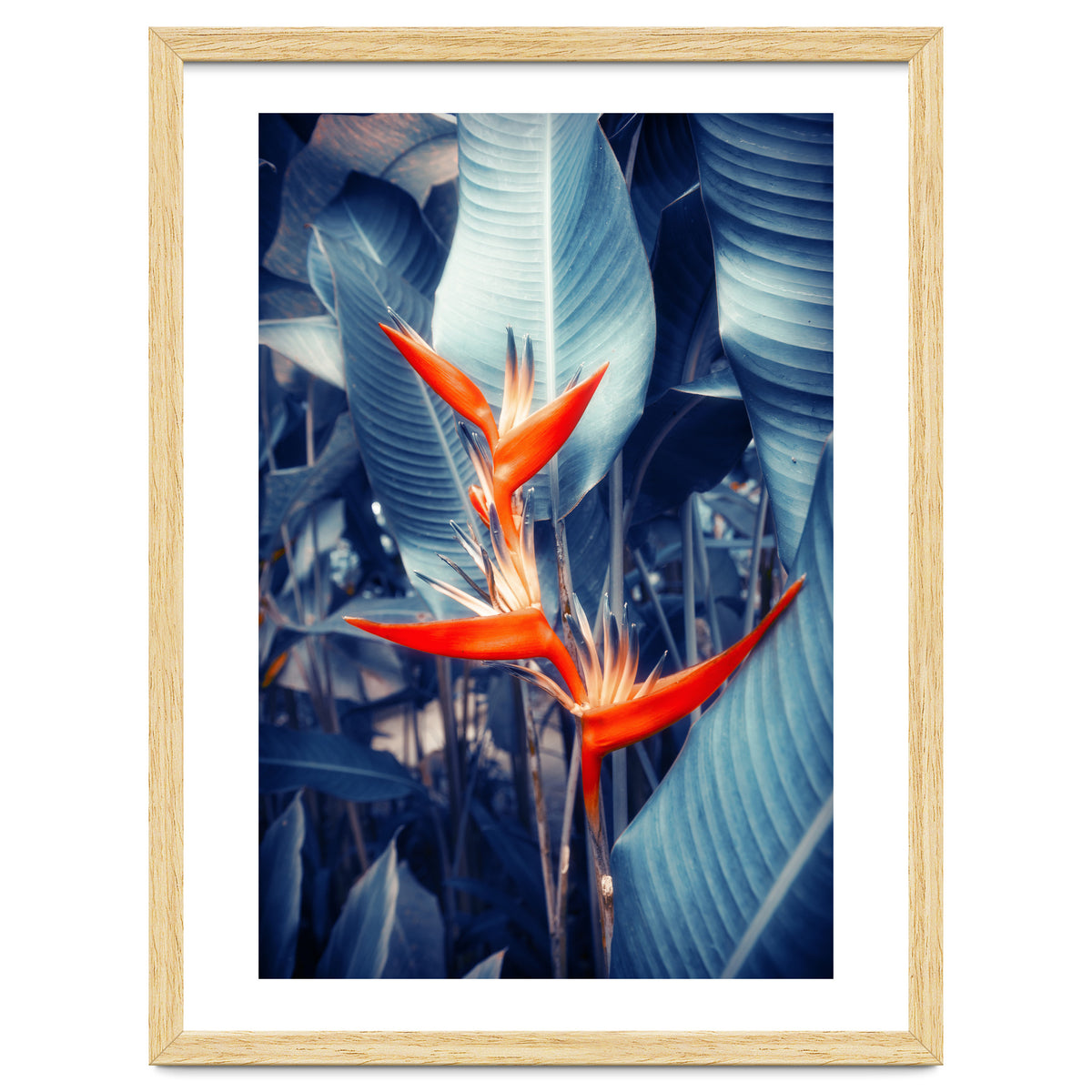 Parakeet Tropical Flower