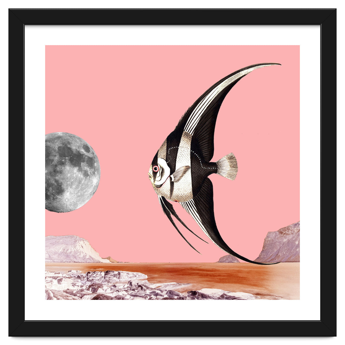 Plenty Of Fish In The Sea Pink